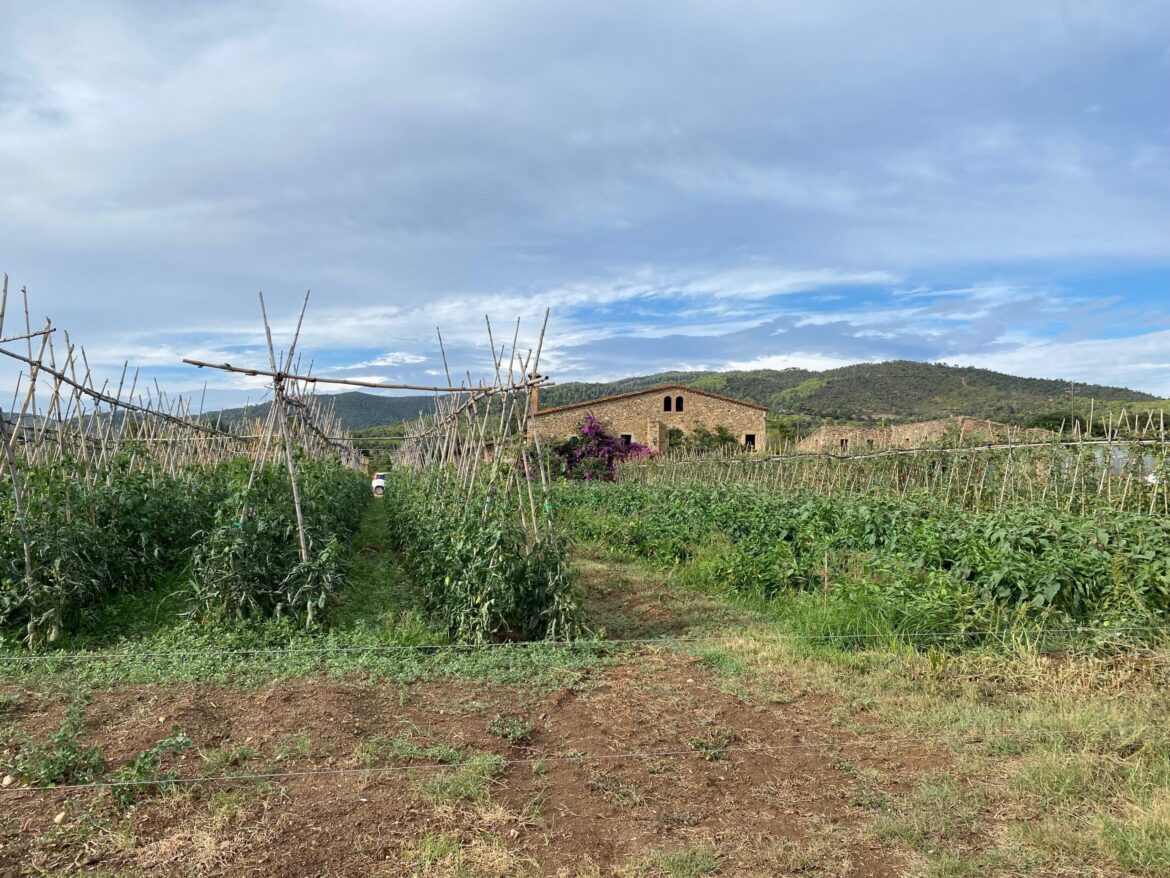 Mas Ponsjoan Masos i Masies del Baix Empordà